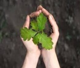 Enroll to Grow.com